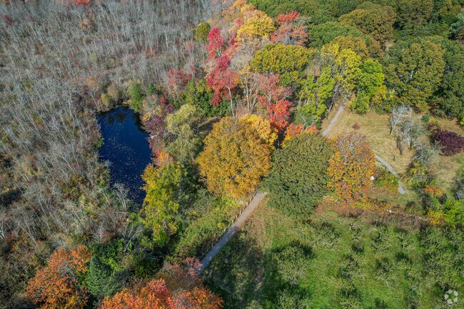 Upper Vine Brook has trails and pond to enjoy in Monroe Hill.