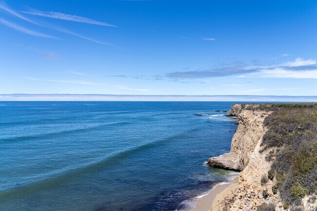 Coastal cliffs in Davenport rise sharply from the Pacific’s edge, shaped by wind and waves.