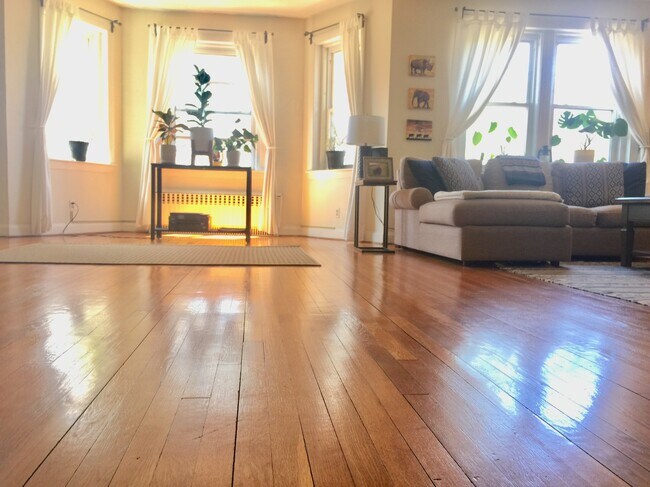 20 Dean Rd unit 3, Brookline, MA 02445 - photo 3