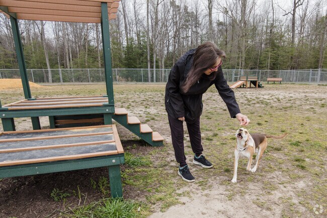 Brookwoods residents take their pets to the dog park at Pine Fork Park.