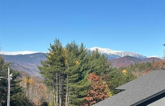 253 Linderhof Strasse St, Bartlett, NH 03812 - photo 2