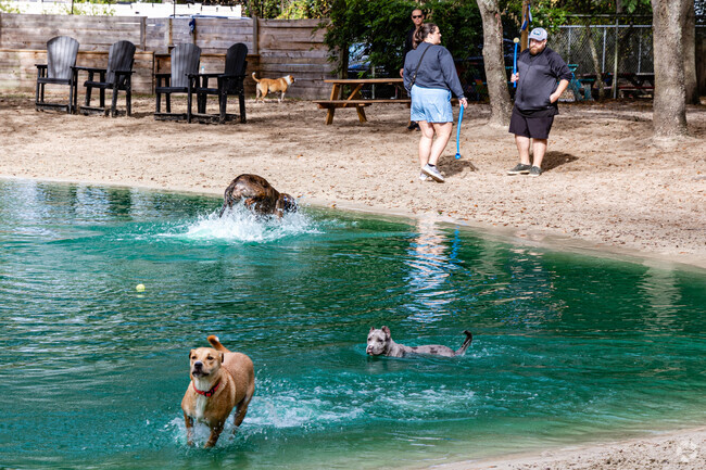 Bring your fur baby to play with their friends at Poochie's Park in Lakeside.