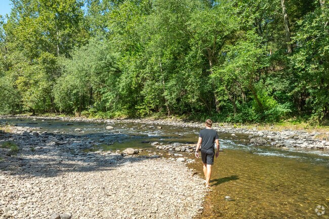 Muncy Creek flows through Picture Rocks Park and is perfect for taking a swim or wading.