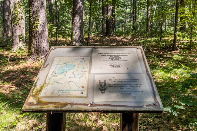 Upper Hill Brook Conservation Area offers shaded trails for relaxing morning strolls in Wayland.