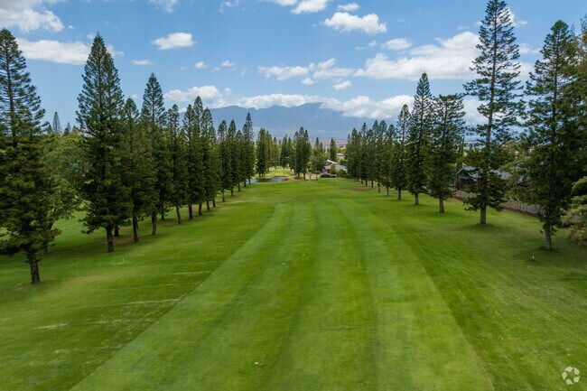 Golf enthusiasts can enjoy a memorable experience at Pukalani Country Club.