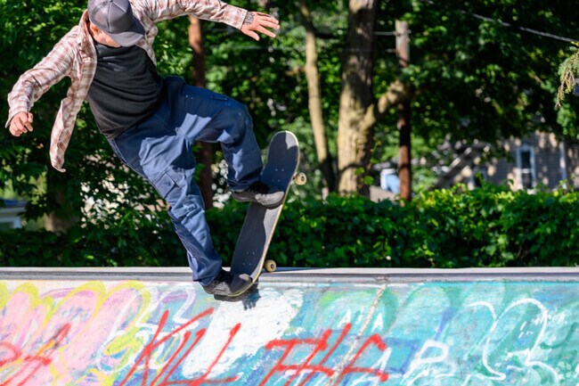 Davis Street Park, located in Vine, has a popular skatepark.
