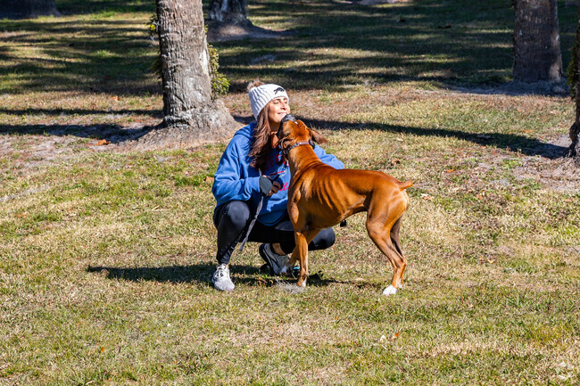Mount Dora residents and visitors enjoy time with their canine family members in down town.