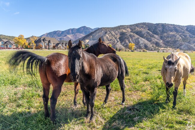 The farm lifestyle of Nephi provides residents with fresh air, wide-open spaces, and scenic rural beauty.