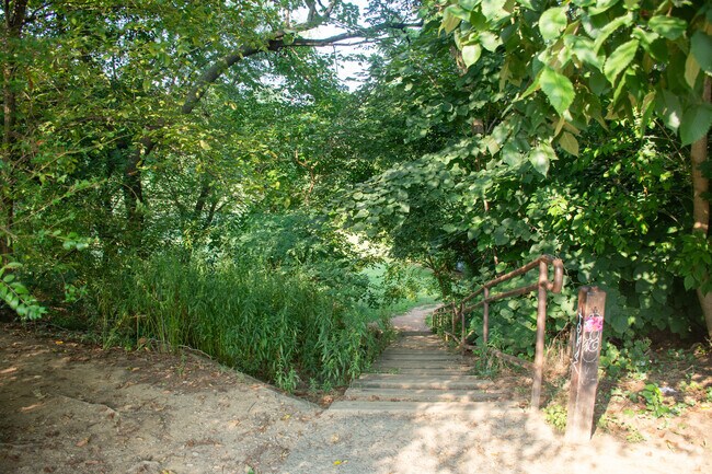 There are plenty of walking trails in the West End that part of Rock Creek Park.