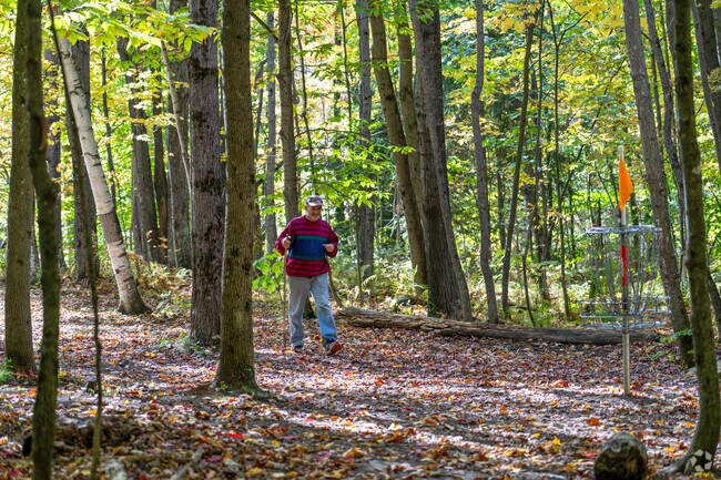 Hiking trails in East Barre wind through lush forests and historic quarry sites, offering outdoor recreation in Vermont’s scenic landscape.