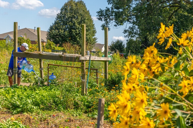 The community garden at Tom Tudek Memorial Park is open for residents.