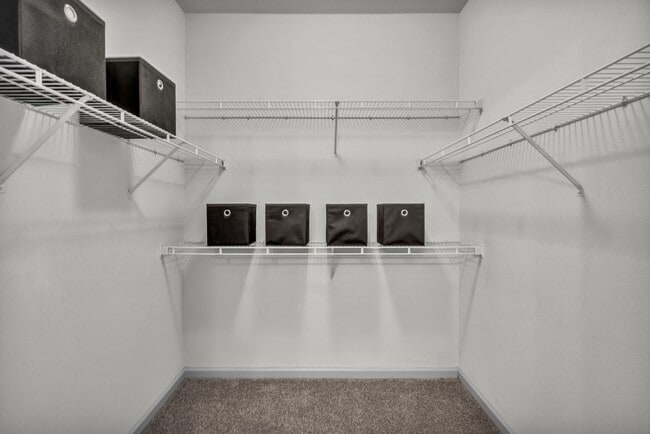 Two Bedroom - spacious closet with shelving