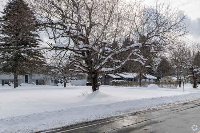 The countryside around Ellicott has pockets of homes along quiet tree-lined streets.
