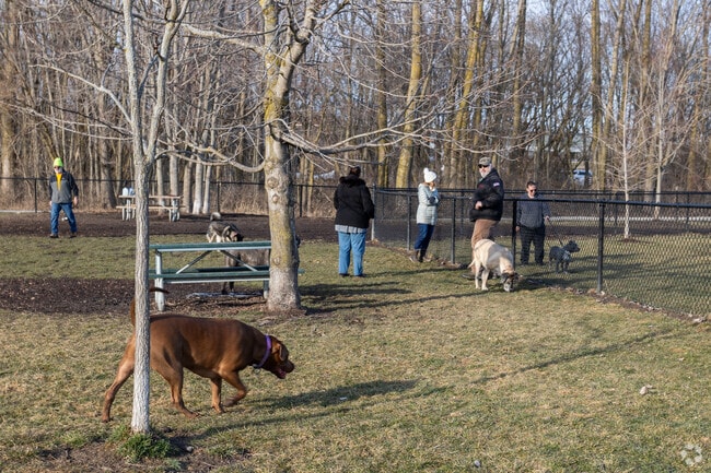 The Caledonia Community Green Dog Park is always full of furry friends to socialize your dog.