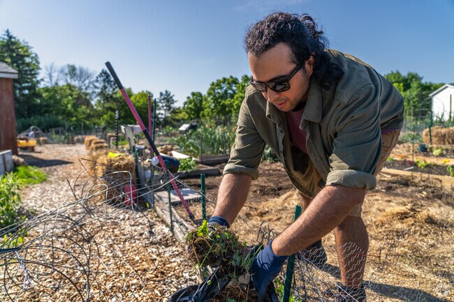 You can grow your own vegetables at the Highland community garden in Middleton.