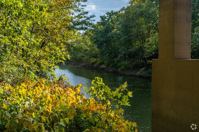 Waterways such as Pigeon Creek are an important part of the communities around Lamasco Park.