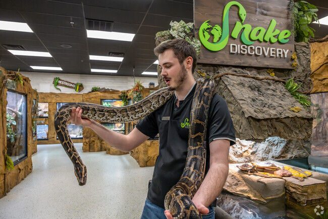 Snake Discovery Zoo in Maplewood is a YouTube famous reptile rescue and storefront.