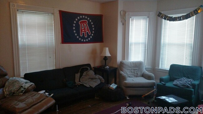 42 Hillside St unit 1, Roxbury Crossing, MA 02120 - photo 7