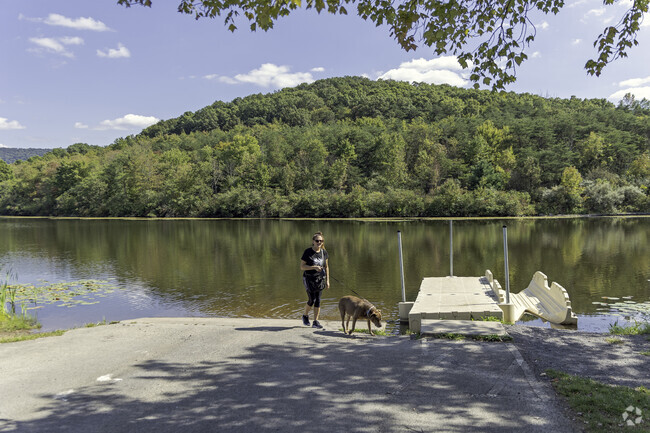 A Sixth Ward resident walking the dog on a gorgeous day in Altoona.