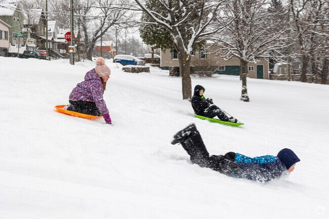 Kids take advantage of Marquette's winter and sled the Harlow Park hills.