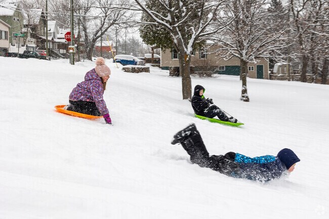Kids take advantage of consistent winter snow and enjoy sledding the Harlow Park hills.