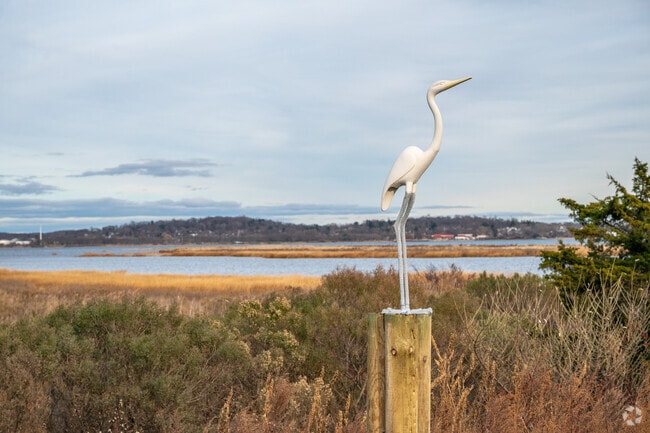 Birdwatchers go to Sandy Point Bird Sanctuary in West Haven to spot rare species of birds.