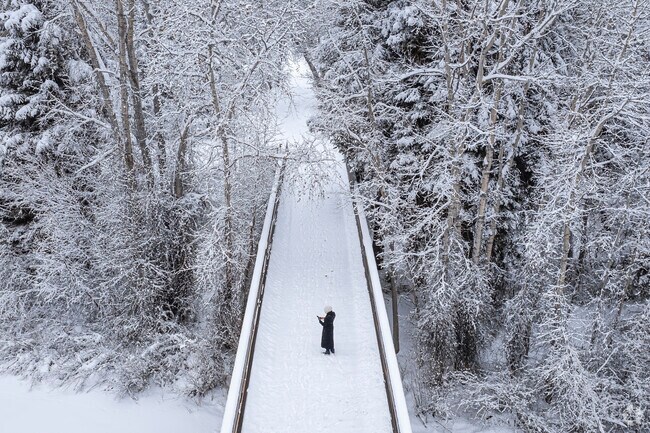 Winter adventure awaits in Edwards, with miles of scenic trails for snowshoeing, cross-country skiing, and fat biking. Whether exploring wooded paths or open meadows, outdoor lovers can experience the quiet beauty of the Rockies covered in a fresh blanket of snow.