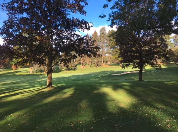 Backyard overlooking golf course