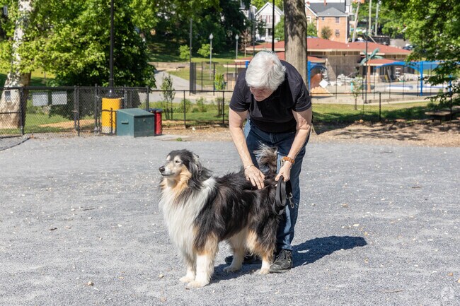 Your furry friend would love some fresh air and exercise at Langdon Dog Park in Woodridge.