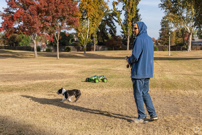 This Laurelglen pup gets her morning workout chasing the remote control car.