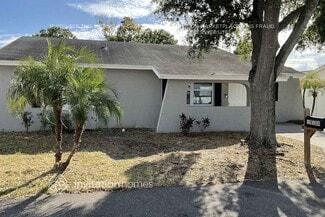 10104 Enchanted Oaks Ct, Tampa, FL 33615