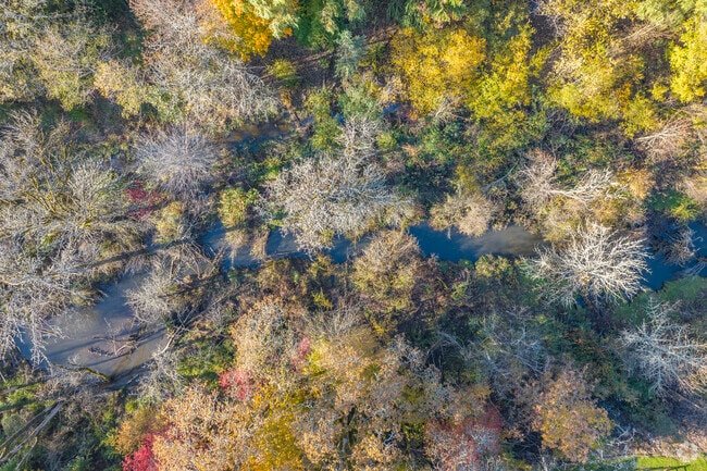 Aloha Park, Beaverton, OR 97006 - photo 7