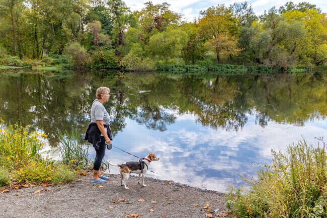 Valued for its quiet, natural setting, Winfield is a suburb that appeals to lowkey lifestyles.