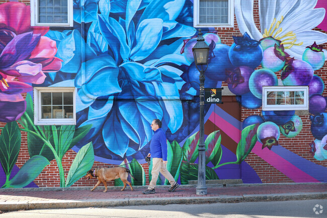 Large colorful murals fill the streets in South End.