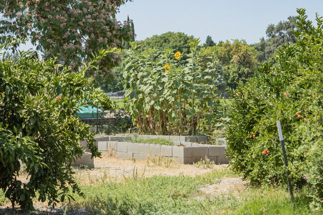 Durham Elementary School has a student maintained garden.