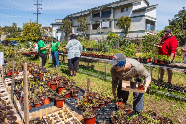 Find new seedlings at the Plants R Us Extravaganza at Zaferia Garden in Recreation Park.