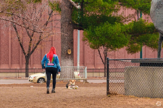 Urban dog owners lean on Zeckenbark Dog Park as a place to get the zoomies out.