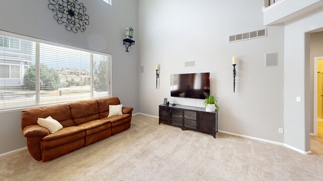 17645 Water Flume Way, Monument, CO 80132 - photo 2