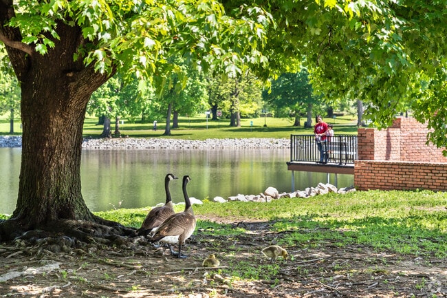Families watch the geese and ducks at the pond in the Evansville State Hospital Grounds.