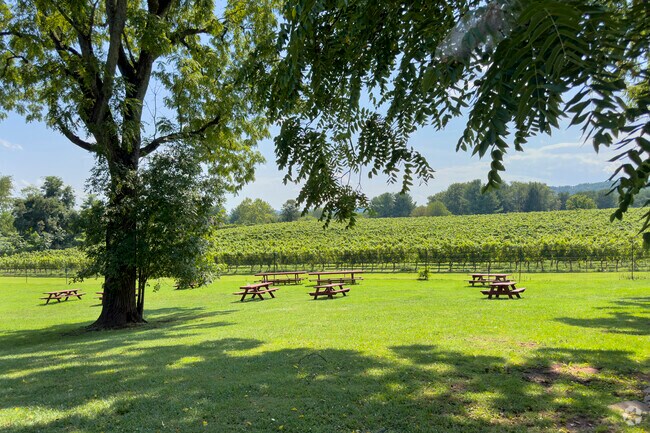 Vineyards near Evergreen Country Club in Hickory Grove offer wine tastings and scenic views.