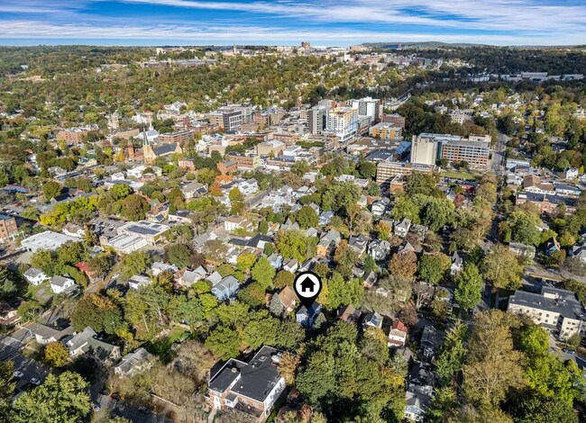 136 Fayette St unit B, Ithaca, NY 14850 - photo 6