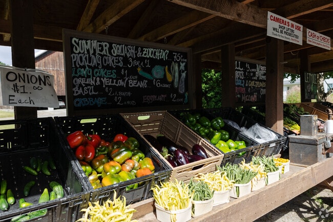 A farmer stands bounty grown locally in Hatfield, MA.