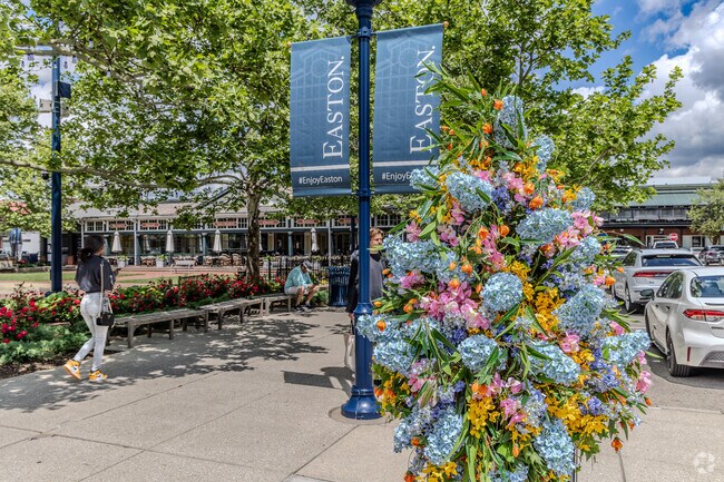Easton Town Center is the largest attraction near the Cherry Bottom neighborhood.