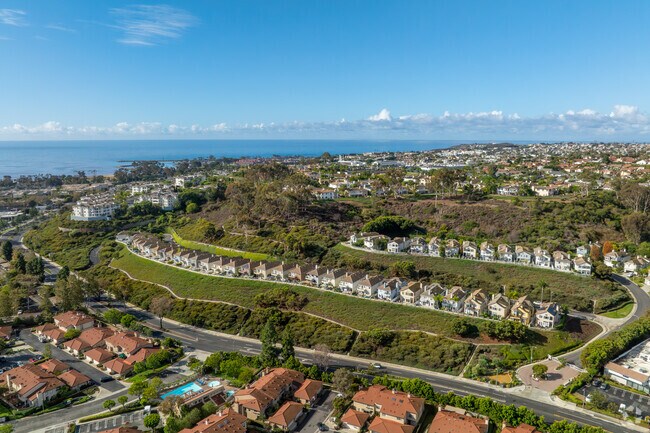 Del Obispo blends small-town calm with coastal charm, offering quiet streets, mature trees, and a relaxed vibe just minutes from the surf and sea breezes of Doheny State Beach.
