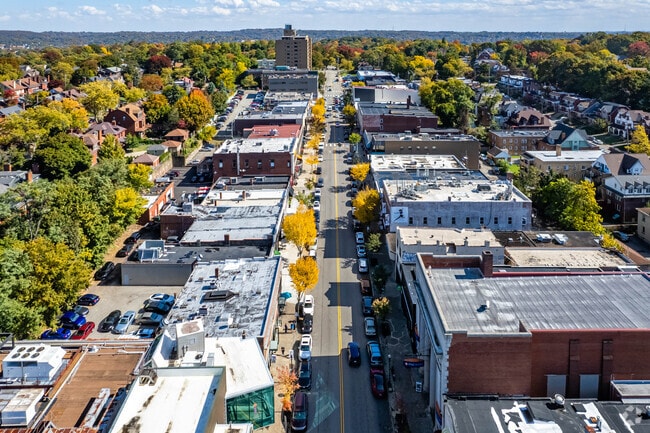 Forbes Avenue Business District shows the row of open retail and shops in Squirrel Hill South.