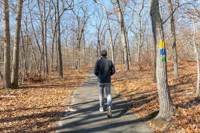 The trail in Woodlot Park winds through the woods of Kendall Park.