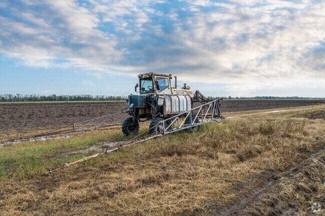 Damon’s farmland often features classic tractors in use.