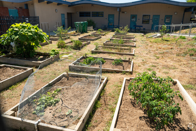 The community garden at Lincoln Middle School in South Oceanside.