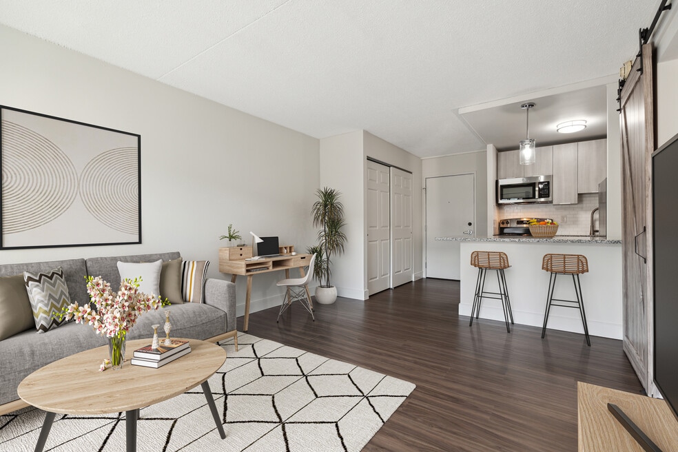 One Bedroom Apartment