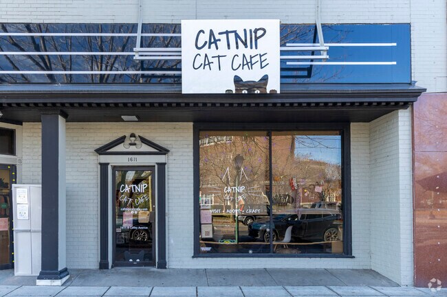 Families snuggle up with a cat at the adorable Catnip Cat Cafe.